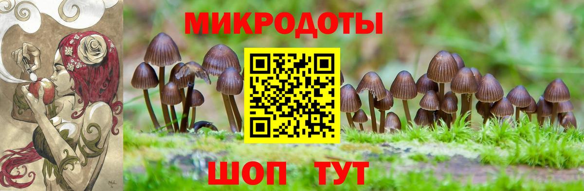 Галлюциногенные грибы Cubensis Губкинский