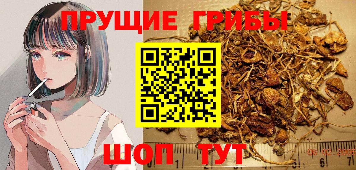 Галлюциногенные грибы MAGIC MUSHROOMS  Вход с VPN  Галлюциногенные грибы MAGIC MUSHROOMS  купить наркотик  Губкинский 